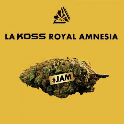 Fleur de CBD KOSS Royal Amnésia - Lord Kossity - 3gr(1)