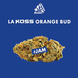 Fleur de CBD KOSS Orange Bud - Lord Kossity - 3gr(1)