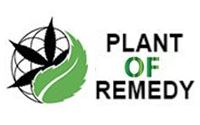 Plant Of Remedy
